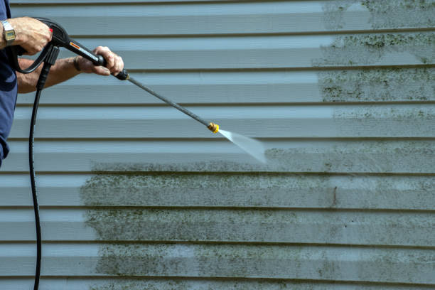 Best Sidewalk and Walkway Cleaning  in Byron, CA